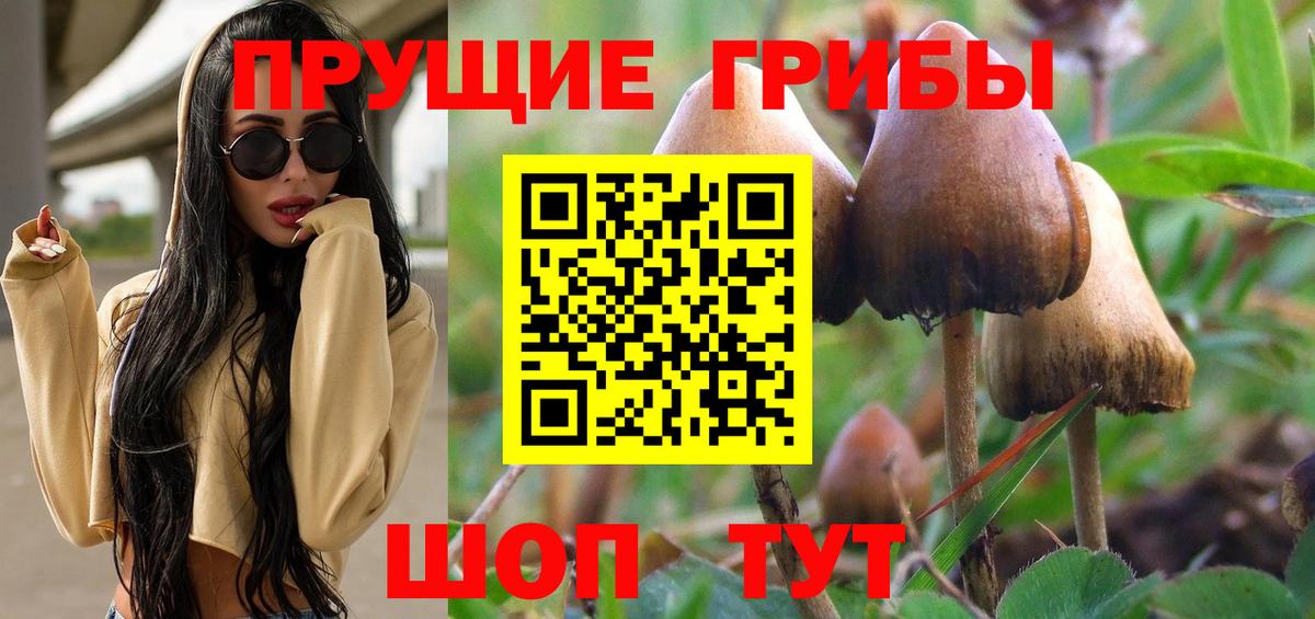купить  цена  Вход с VPN  Славянск-на-Кубани  Псилоцибиновые грибы Magic Shrooms 